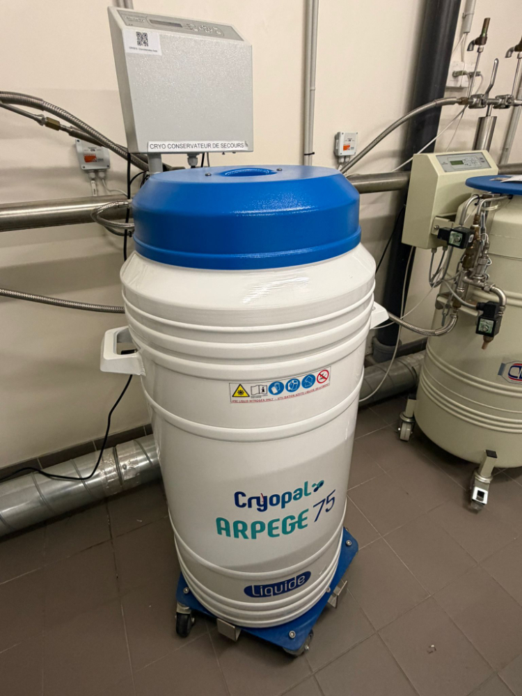 Image of SINTESY DEWAR SMARTLINE.G.NC.100 Cryogenics